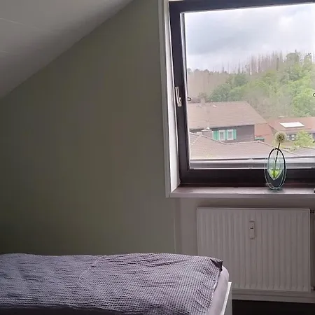 Rodelblick - Gerling * Sankt Andreasberg